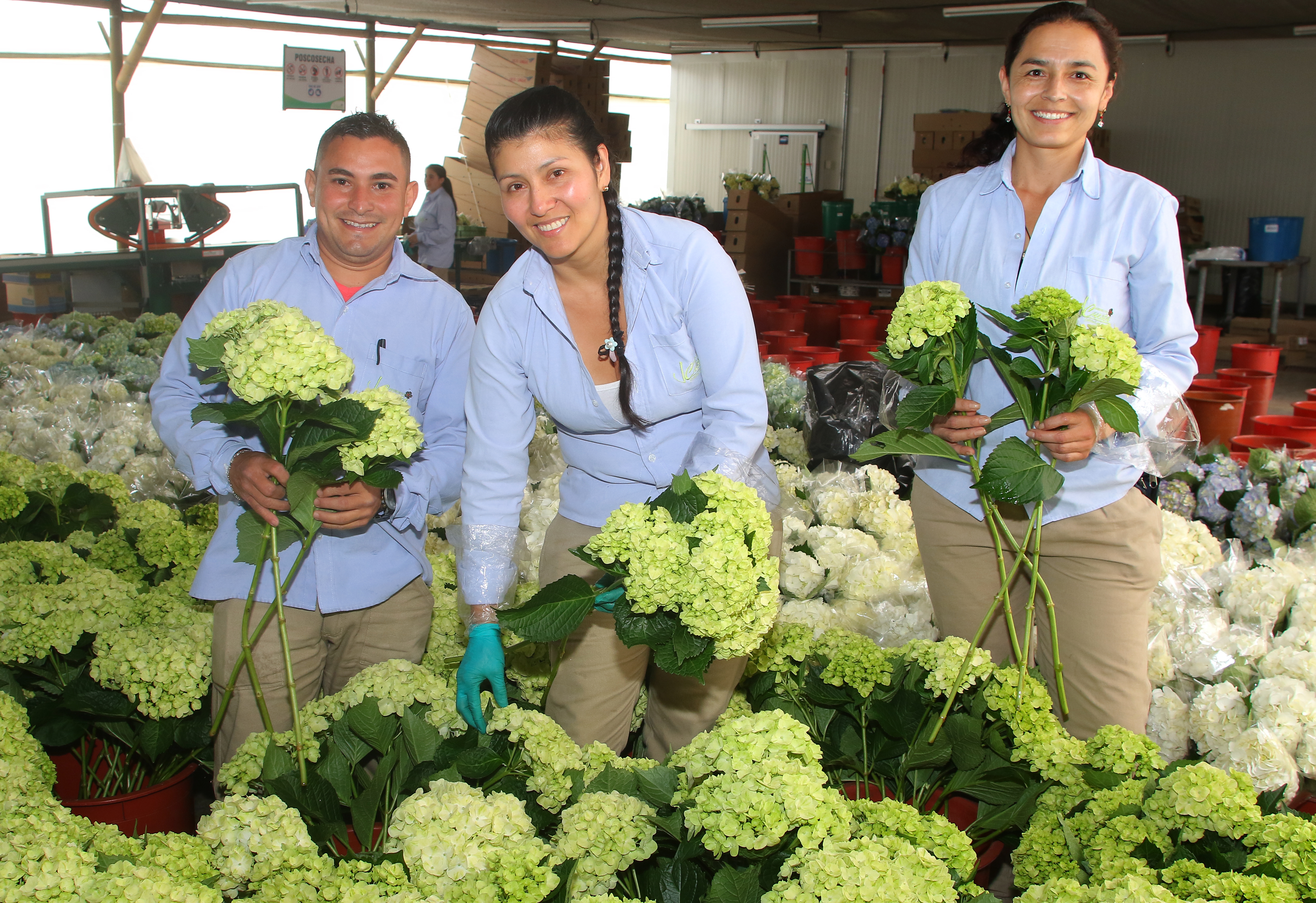 Jardines De la Cuesta | Trabaja Con Nosotros