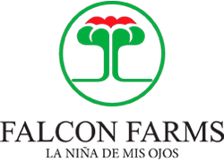 TRABAJE CON NOSOTROS